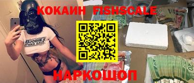 спиды Кингисепп