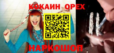 спиды Кингисепп