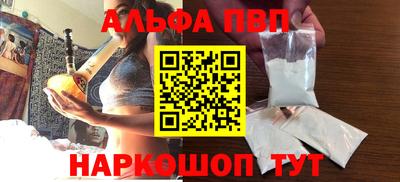спиды Кингисепп