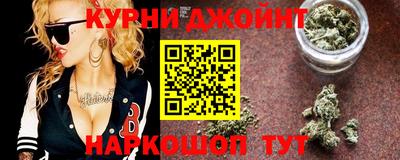 спиды Кингисепп