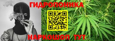 гашиш Кимры