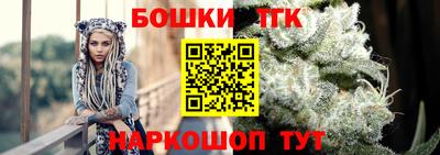 спиды Кингисепп