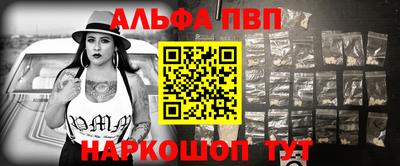 спиды Кингисепп