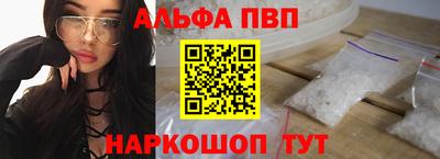 спиды Кингисепп