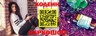 спиды Кингисепп
