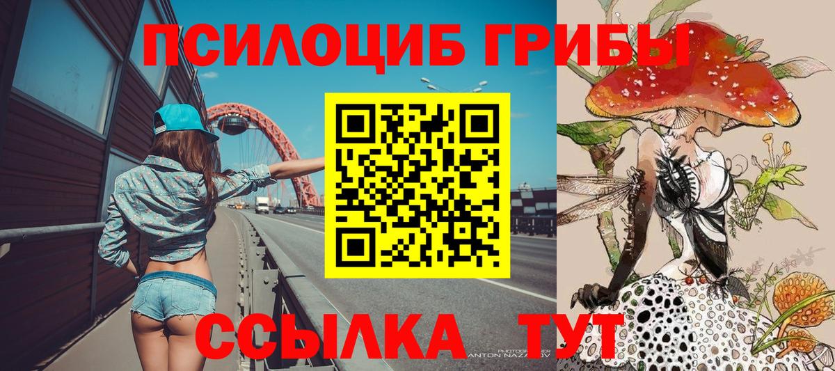 Карталы  Галлюциногенные грибы Psilocybe  Вход с VPN  Галлюциногенные грибы прущие грибы 